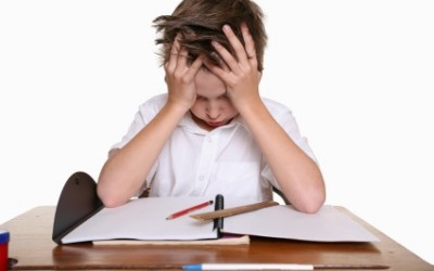 Difficoltà e disturbi specifici dell’apprendimento: dall’individuazione all’intervento
